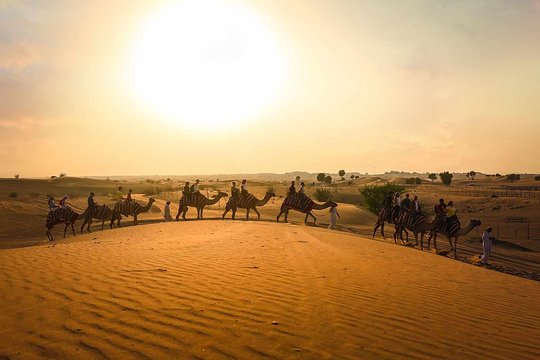 صورة الجولة 1