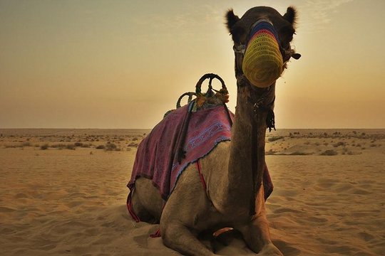 صورة الجولة 8