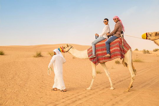 صورة الجولة 6