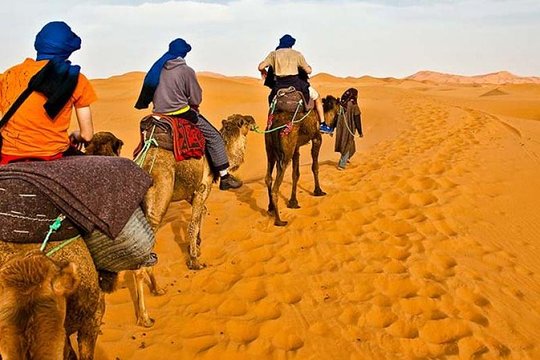 صورة الجولة 1