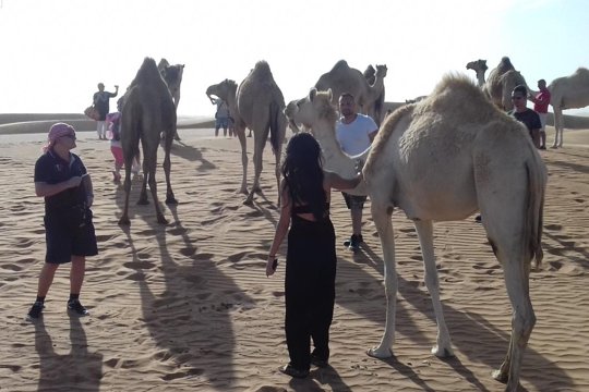 صورة الجولة 8
