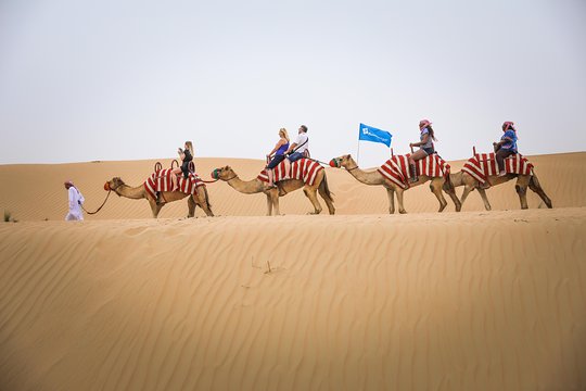 صورة الجولة 12