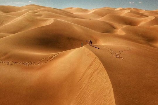 صورة الجولة 13