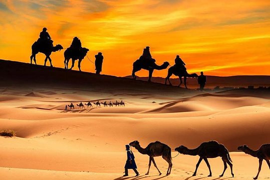 صورة الجولة 2