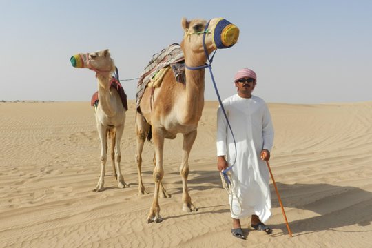 صورة الجولة 6
