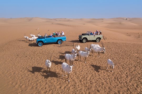 صورة الجولة 6