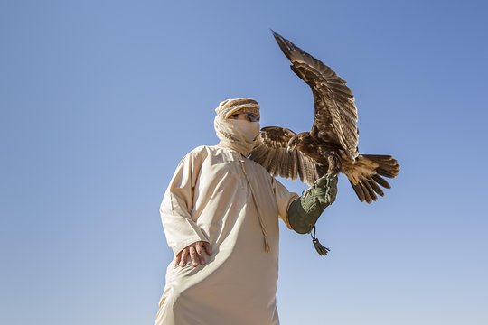 صورة الجولة 9