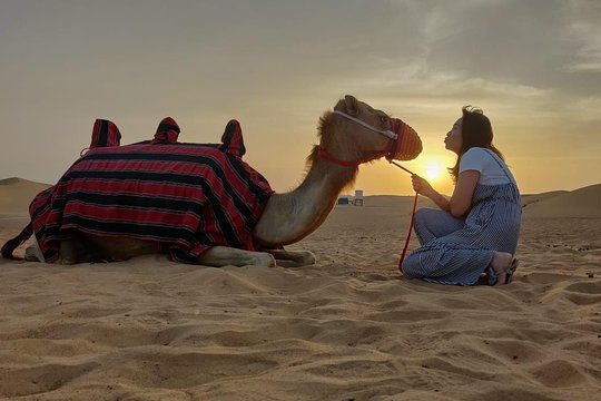 صورة الجولة 7