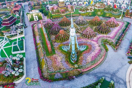 صورة الجولة 5