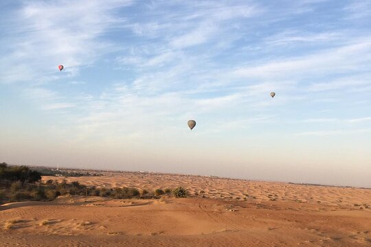 صورة الجولة 8