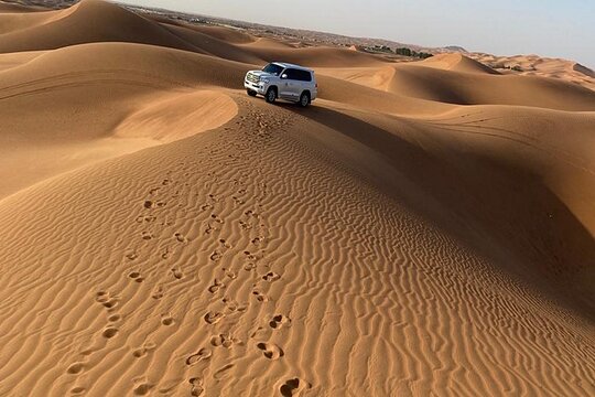 صورة الجولة 12