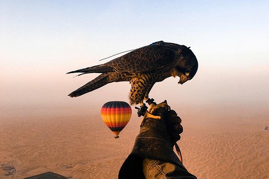 صورة الجولة 10