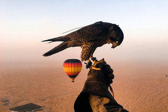 صورة الجولة 2