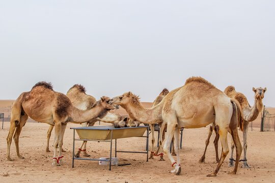 صورة الجولة 7