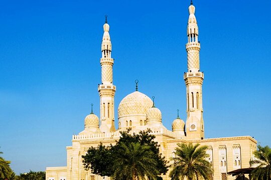 صورة الجولة 8
