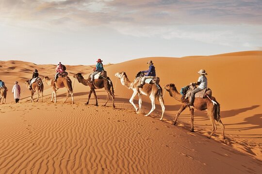 صورة الجولة 8