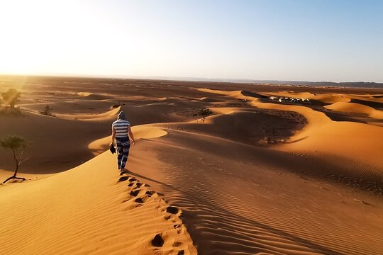 صورة الجولة 11