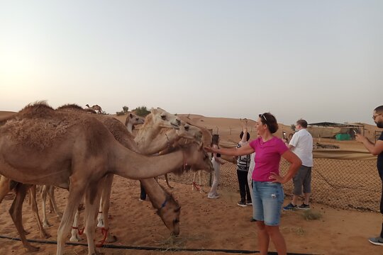 صورة الجولة 3
