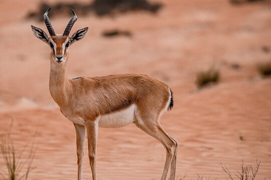 Tour image 5