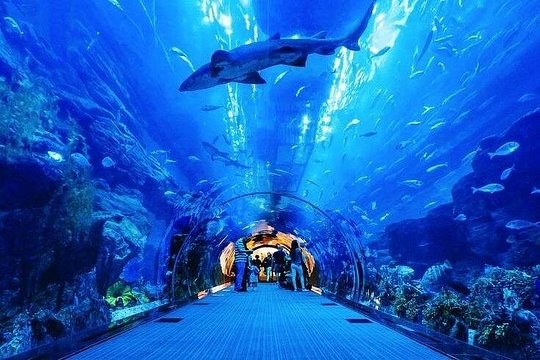 صورة الجولة 4
