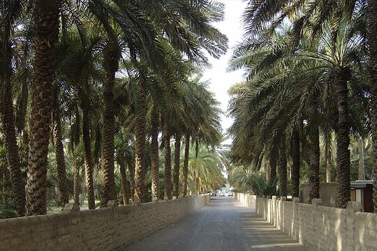 صورة الجولة 3