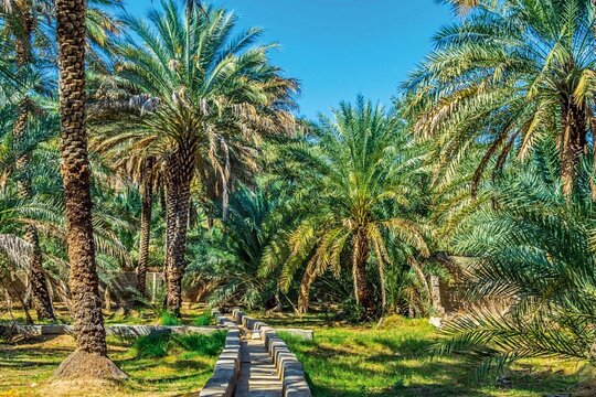 صورة الجولة 1