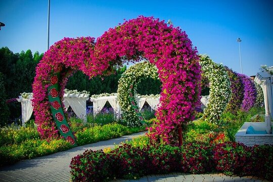 صورة الجولة 6