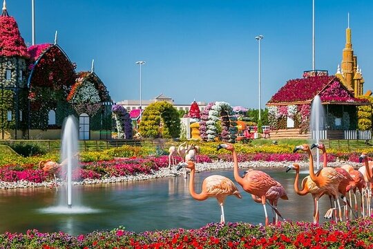 صورة الجولة 7