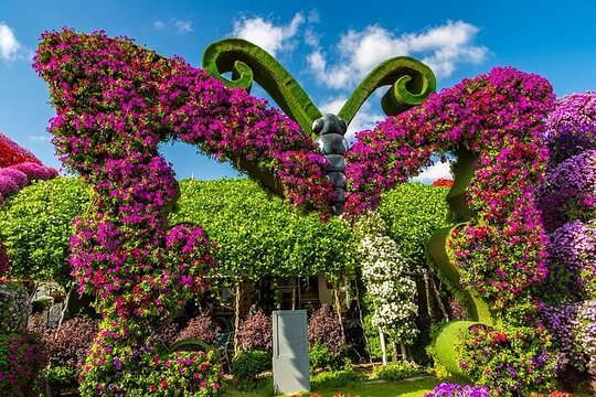 صورة الجولة 10