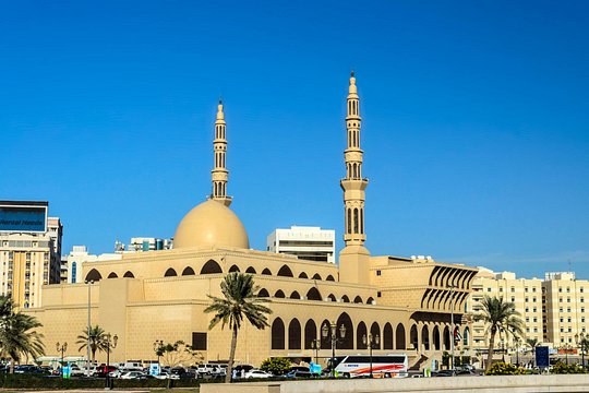 صورة الجولة 5