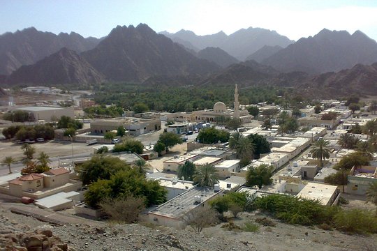 صورة الجولة 1
