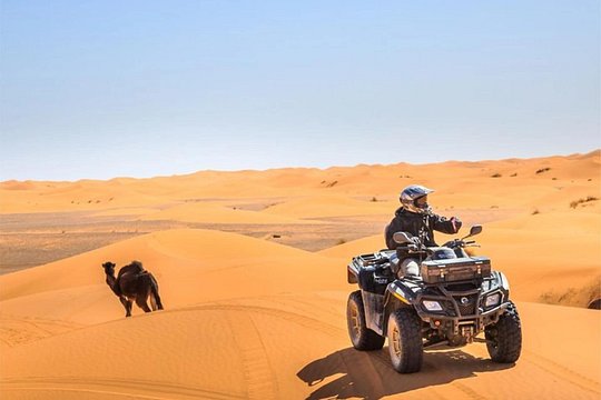 صورة الجولة 5