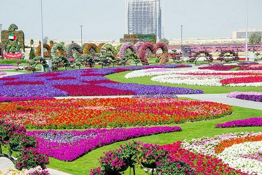صورة الجولة 3