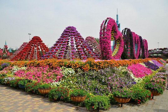 صورة الجولة 4