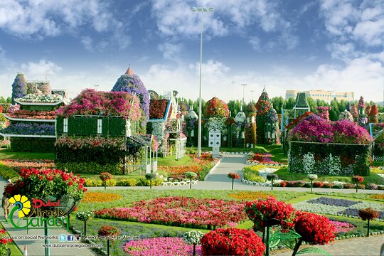 صورة الجولة 13