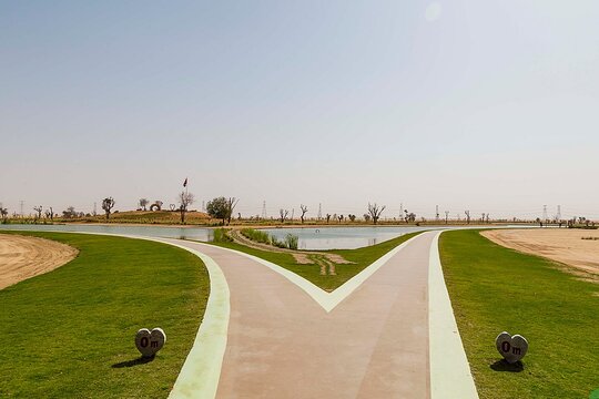 صورة الجولة 8