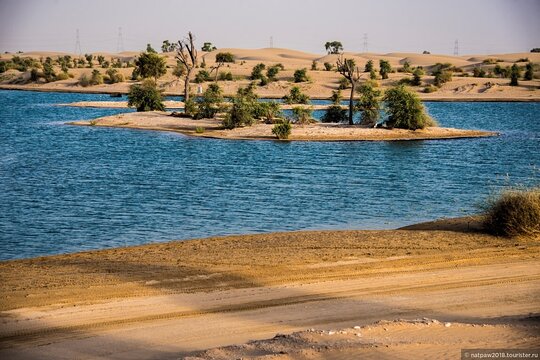 صورة الجولة 11