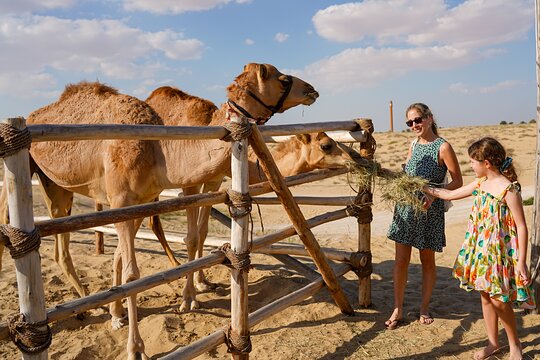 صورة الجولة 9