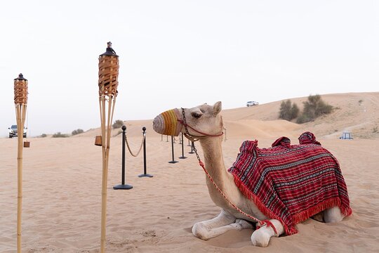 صورة الجولة 1