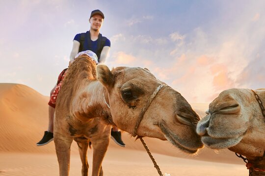 صورة الجولة 4