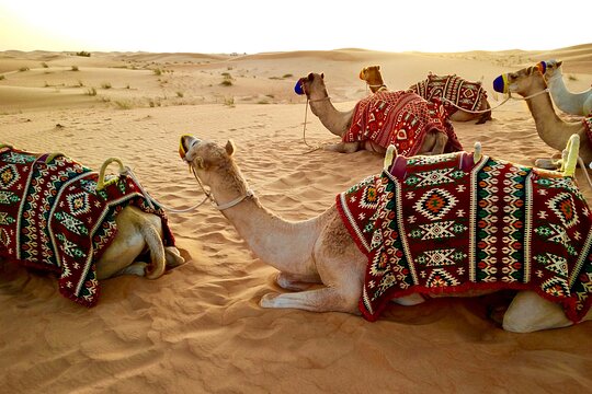 صورة الجولة 1