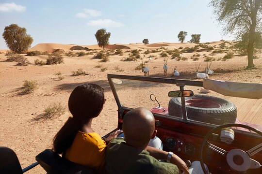 صورة الجولة 7